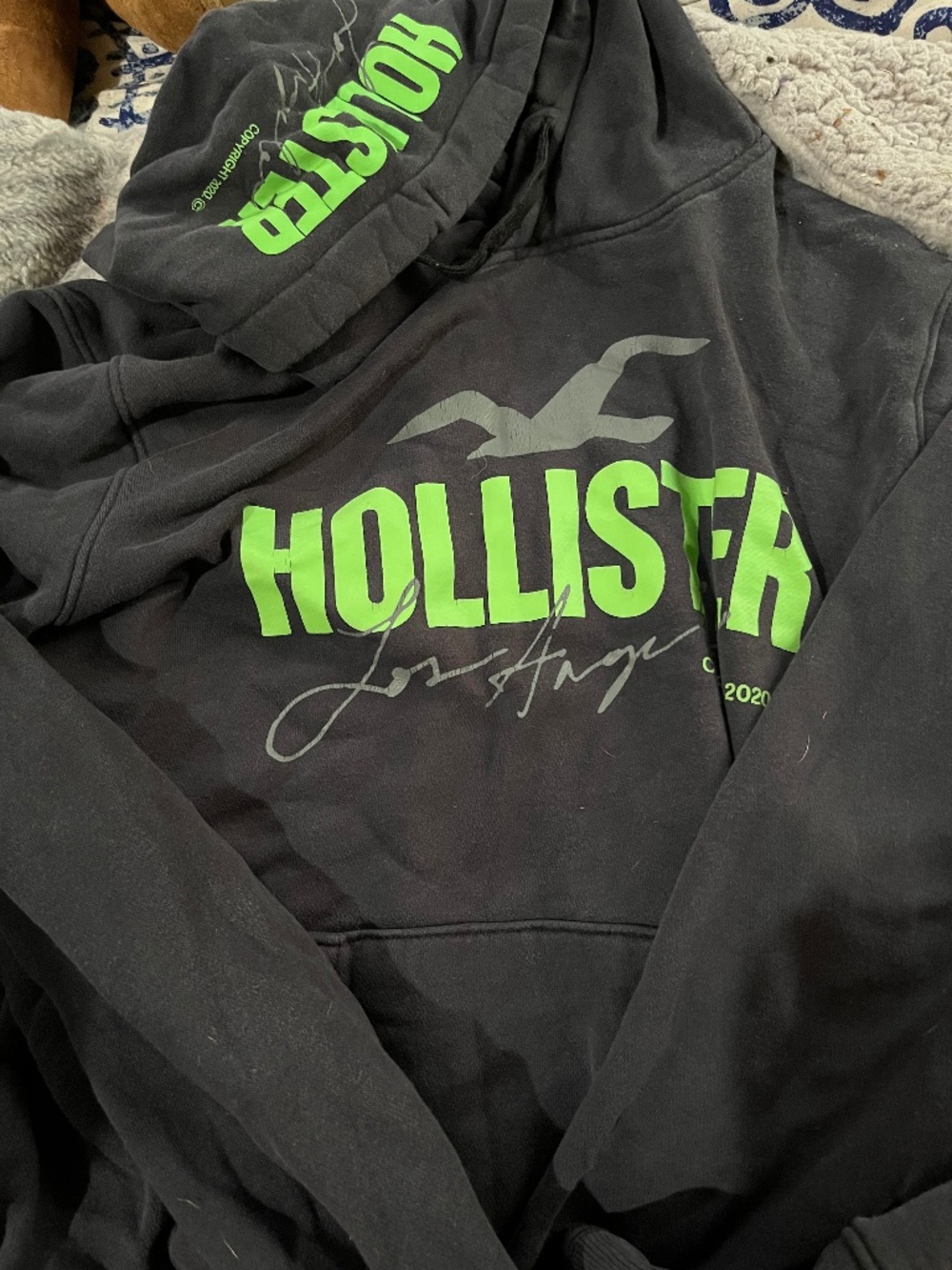 Hollister Graphic Hoodie